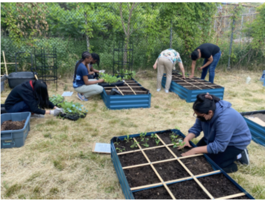 Members of the Gardening Club hard at work.