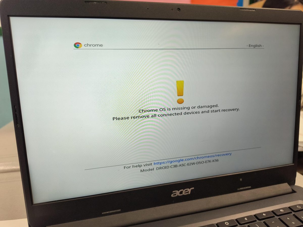 Many students and teachers have their own grievances relating to the Chromebooks currently in use by the DOE, with them oftentimes being an inconvenience to students trying to complete assignments.