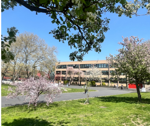 John Dewey's campus showing signs of the Spring season on April 24, 2025. 