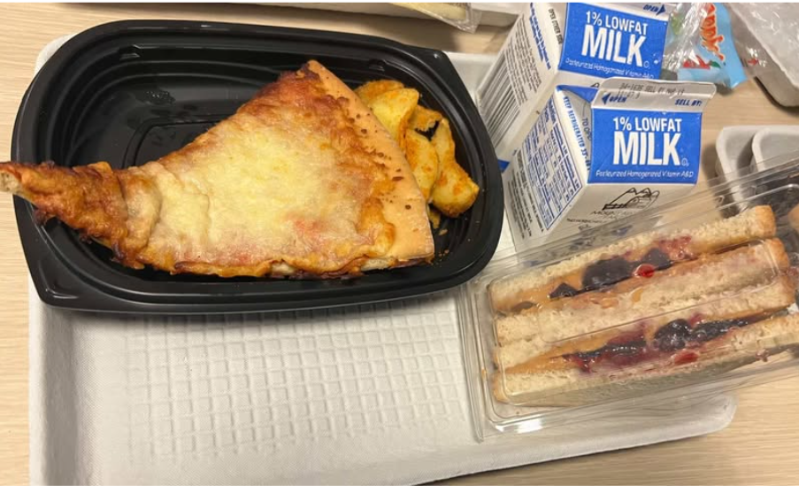A typical school lunch consisting of Pizza and Peanut Butter & Jelly Sandwiches. 